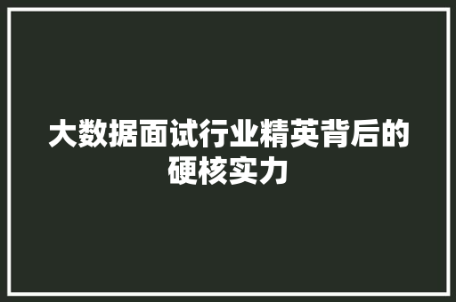 大数据面试行业精英背后的硬核实力