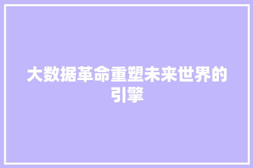 大数据革命重塑未来世界的引擎