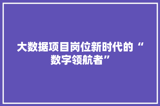 大数据项目岗位新时代的“数字领航者”