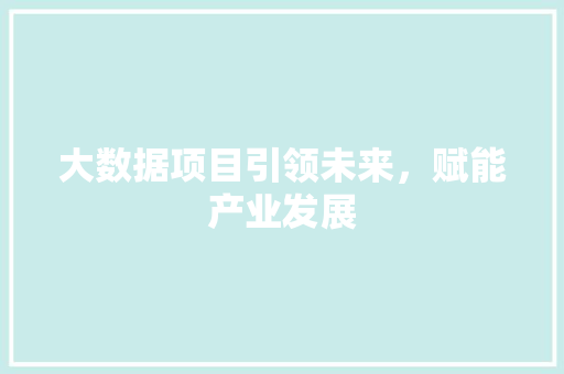 大数据项目引领未来，赋能产业发展