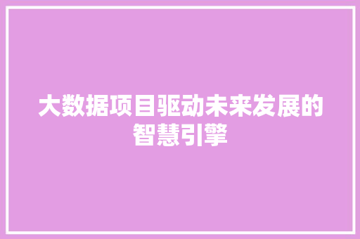大数据项目驱动未来发展的智慧引擎