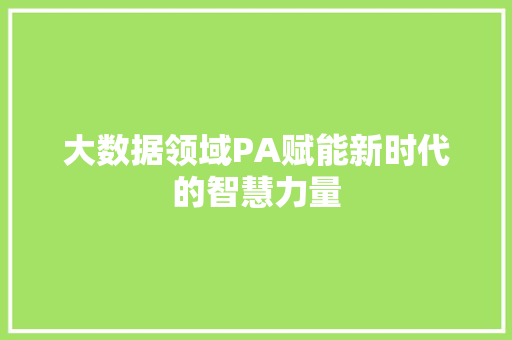 大数据领域PA赋能新时代的智慧力量