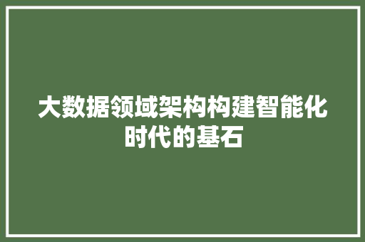 大数据领域架构构建智能化时代的基石