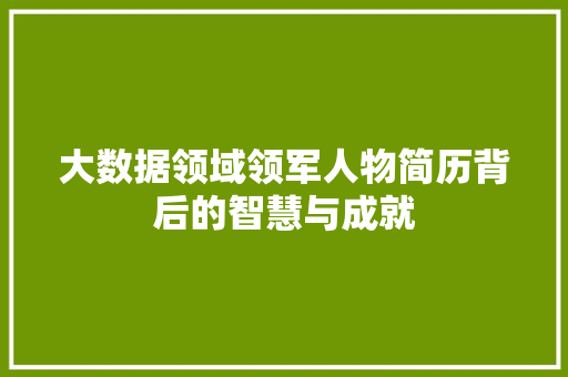 大数据领域领军人物简历背后的智慧与成就