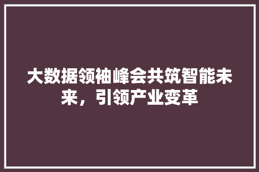 大数据领袖峰会共筑智能未来，引领产业变革