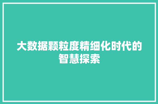 大数据颗粒度精细化时代的智慧探索 WordPress教程