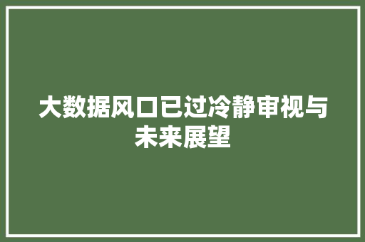 大数据风口已过冷静审视与未来展望