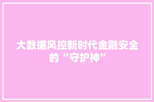大数据风控新时代金融安全的“守护神” Web前端