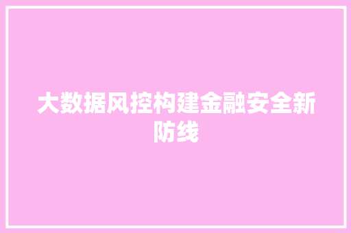 大数据风控构建金融安全新防线