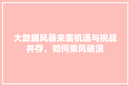 大数据风暴来袭机遇与挑战并存，如何乘风破浪