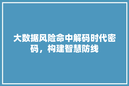 大数据风险命中解码时代密码，构建智慧防线