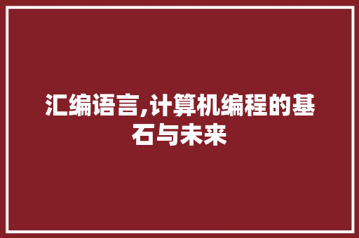 汇编语言,计算机编程的基石与未来 汇编语言,计算机编程的基石与未来 建站教程