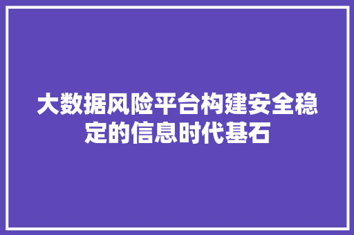 大数据风险平台构建安全稳定的信息时代基石