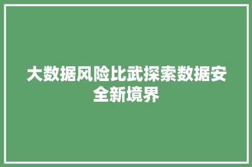 大数据风险比武探索数据安全新境界