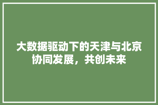 大数据驱动下的天津与北京协同发展，共创未来