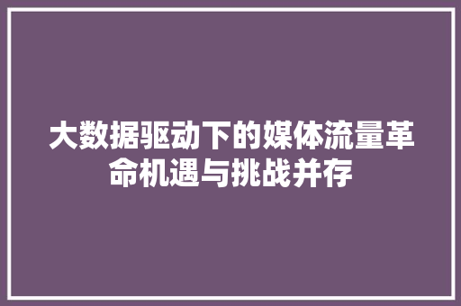 大数据驱动下的媒体流量革命机遇与挑战并存