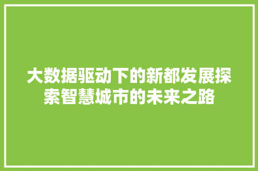 大数据驱动下的新都发展探索智慧城市的未来之路