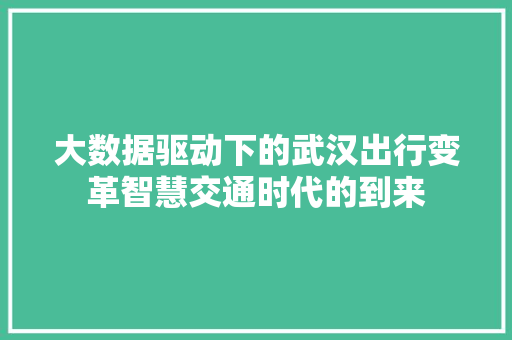 大数据驱动下的武汉出行变革智慧交通时代的到来