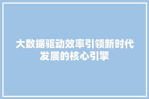 大数据驱动效率引领新时代发展的核心引擎