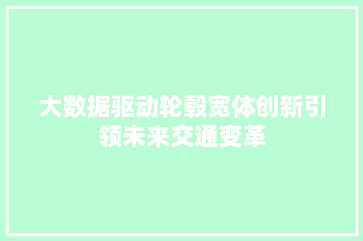 大数据驱动轮毂宽体创新引领未来交通变革