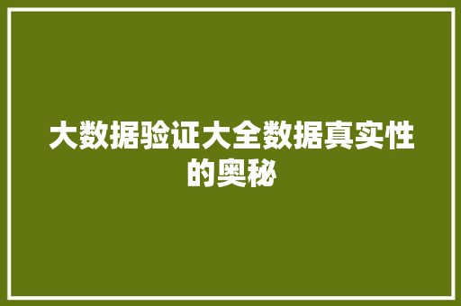 大数据验证大全数据真实性的奥秘 Web前端