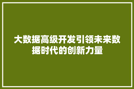 大数据高级开发引领未来数据时代的创新力量