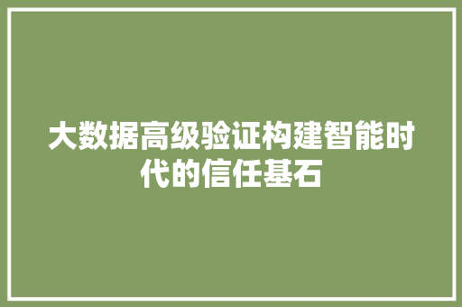 大数据高级验证构建智能时代的信任基石