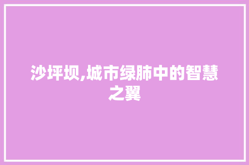 沙坪坝,城市绿肺中的智慧之翼