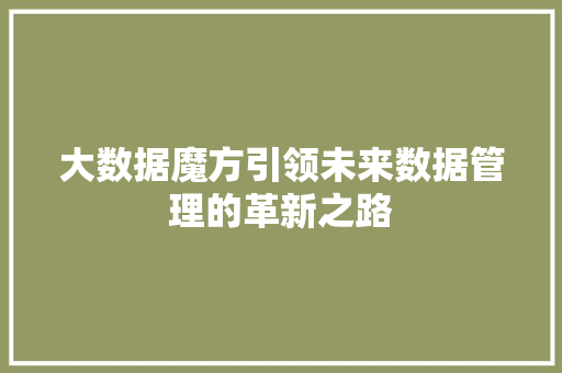 大数据魔方引领未来数据管理的革新之路 WordPress教程