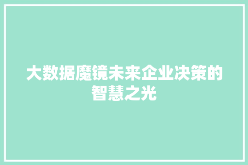 大数据魔镜未来企业决策的智慧之光