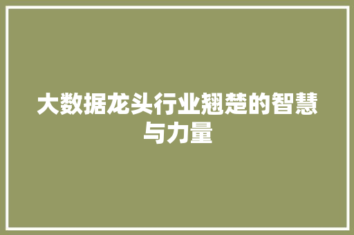 大数据龙头行业翘楚的智慧与力量