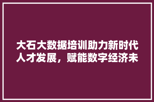 大石大数据培训助力新时代人才发展，赋能数字经济未来