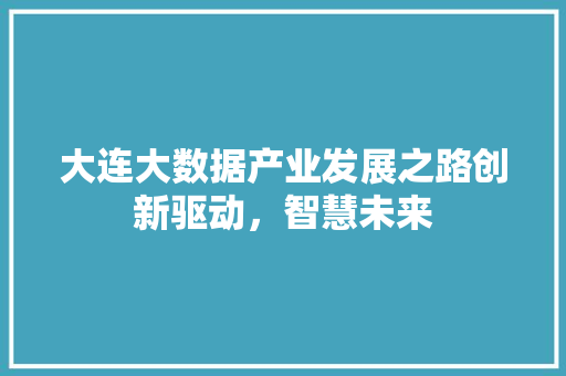 大连大数据产业发展之路创新驱动，智慧未来