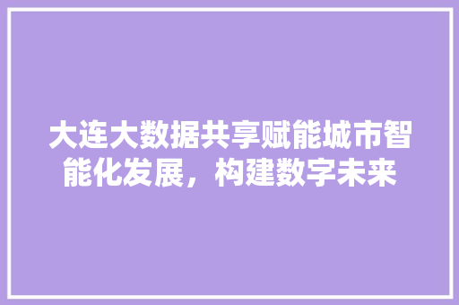 大连大数据共享赋能城市智能化发展，构建数字未来