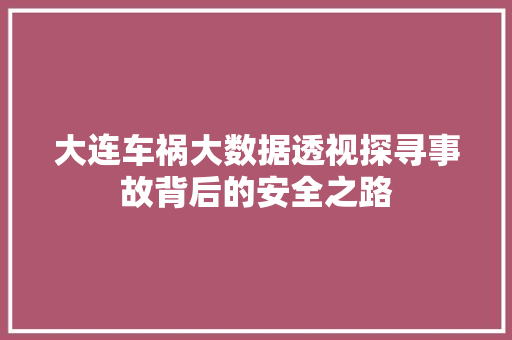 大连车祸大数据透视探寻事故背后的安全之路