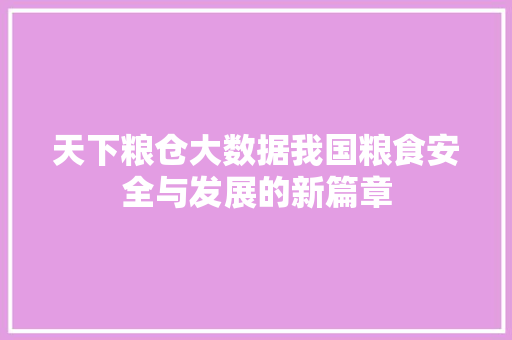 天下粮仓大数据我国粮食安全与发展的新篇章