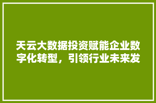 天云大数据投资赋能企业数字化转型，引领行业未来发展趋势