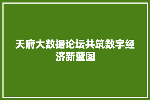 天府大数据论坛共筑数字经济新蓝图