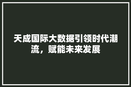 天成国际大数据引领时代潮流，赋能未来发展