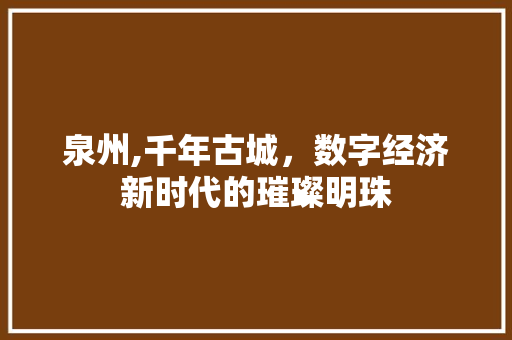 泉州,千年古城，数字经济新时代的璀璨明珠 泉州,千年古城，数字经济新时代的璀璨明珠 SEO教程