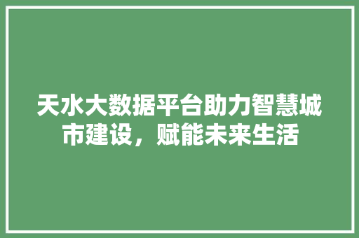 天水大数据平台助力智慧城市建设，赋能未来生活