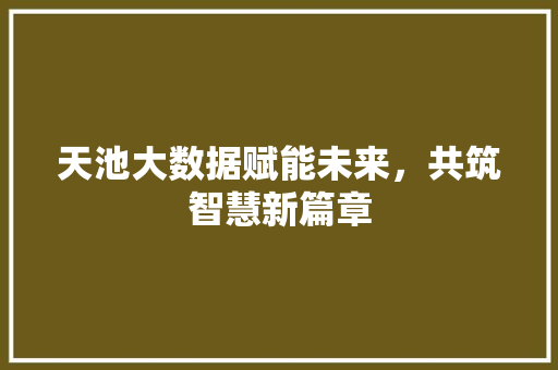 天池大数据赋能未来，共筑智慧新篇章