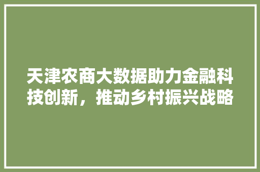 天津农商大数据助力金融科技创新，推动乡村振兴战略