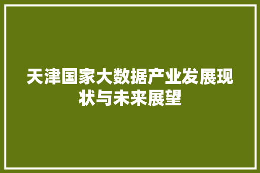 天津国家大数据产业发展现状与未来展望
