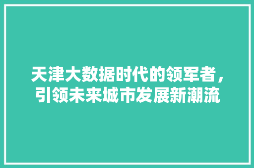 天津大数据时代的领军者,引领未来城市发展新潮流 天津大数据时代的领军者,引领未来城市发展新潮流