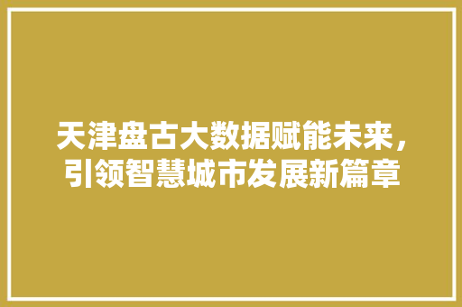 天津盘古大数据赋能未来，引领智慧城市发展新篇章