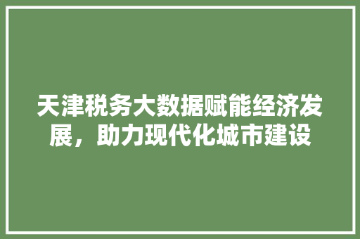 天津税务大数据赋能经济发展，助力现代化城市建设