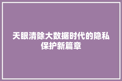 天眼清除大数据时代的隐私保护新篇章