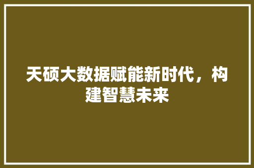 天硕大数据赋能新时代，构建智慧未来