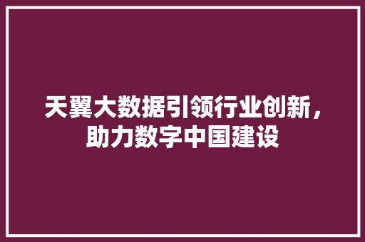 天翼大数据引领行业创新，助力数字中国建设